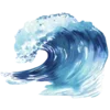 🌊