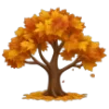 🍁