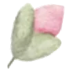 🌸