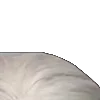 ⭐