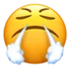 😤