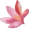 🌸