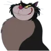 🐈‍⬛