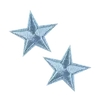 🌟