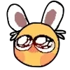 🐰