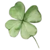 🍀