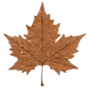 🍁
