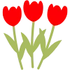 🌺