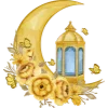 🌙