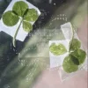 🍀