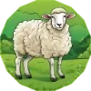🐑