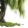 🌳