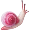 🐌