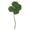 🍀