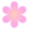 🌺