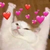 ❤️