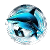 🦈