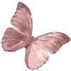 🦋
