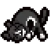 🐈‍⬛