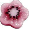 🌸