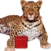 🐆