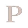 🩶