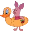 🐽