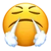 😤