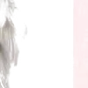 ⭐️