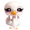 🌟