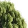 🌳