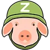🐖