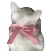 🎀