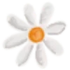 🌸