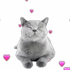 💕