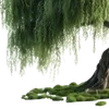 🌳