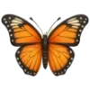 🦋