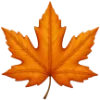 🍁