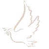 🕊