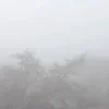 🌫️