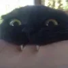 😏