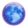 🌕