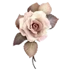 🌸