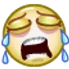 😭
