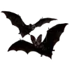 🦇