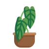 🍀