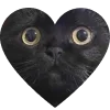 🐈‍⬛