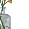 🌼