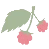 🍓