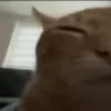 😑
